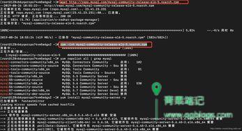 【Linux】服务器被植入后门程序排查实录